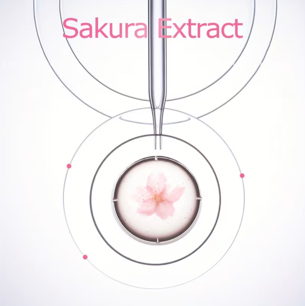 SAKURA - Aroma olja
