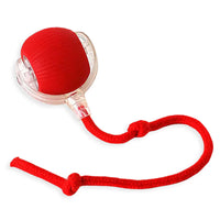 ROLLRAPTOR- Interaktiv leksaksboll