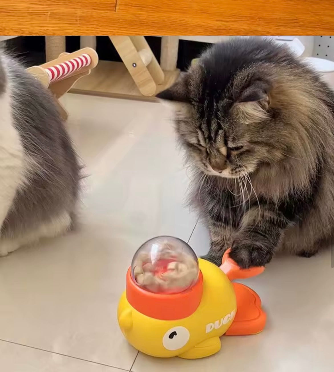 TANKETASS - 
Interaktiv foderleksak