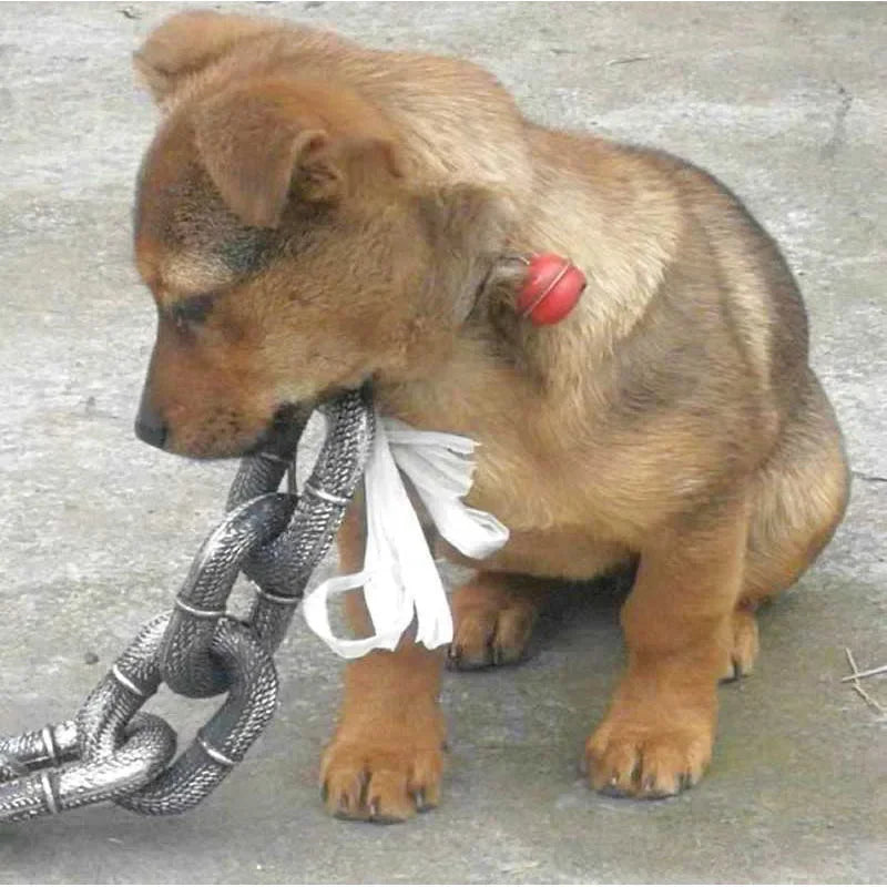 Produktnamn - Överdimensionerat fejkat kedjekoppel för hundar