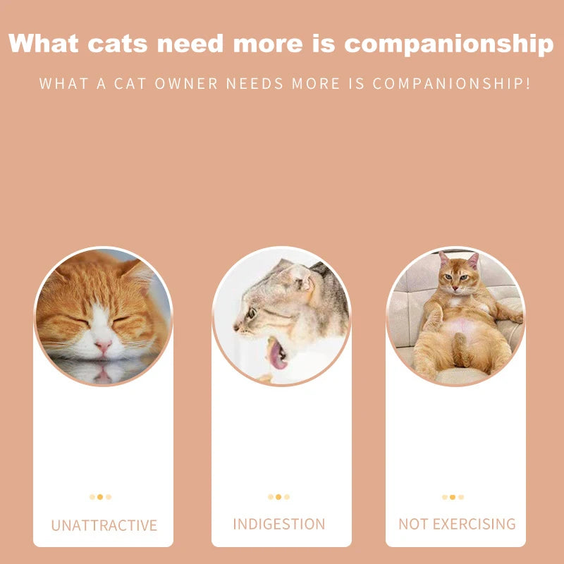 JOY – Interaktiv Matleksak för Katt