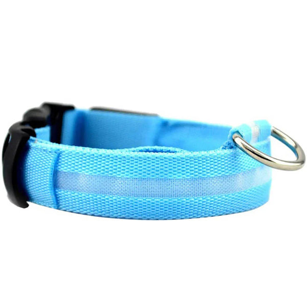 NEON – LED Hundhalsband